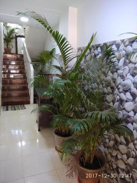 Alegro Holiday Homes Palolem Exterior photo